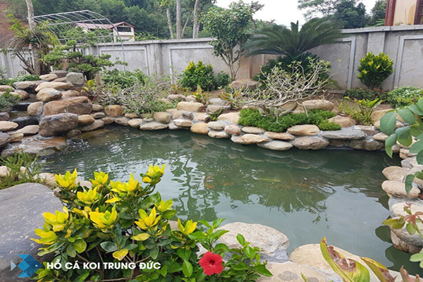 1552012090thi-cong-ho-ca-koi-tai-bac-ninh.jpg