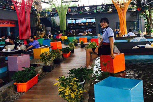 1559361356dia-diem-cafe-ho-ca-koi.gif