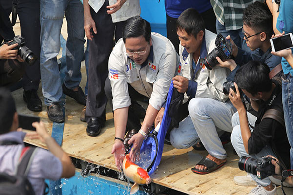 1568771271ca-koi-nhat-duoc-chuyen-gia-tha-xuong-song.jpg