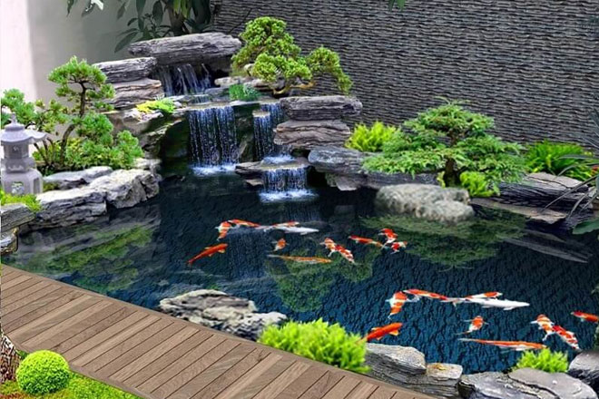 Thiết kế hồ cá koi