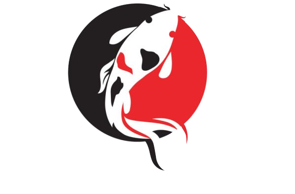 Hồ Cá Koi Trung Đức