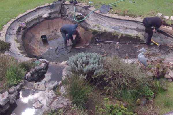 chi phi để cải tạo hồ cá koi