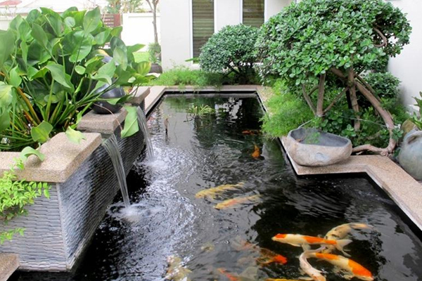 Hồ cá koi Hướng Bắc