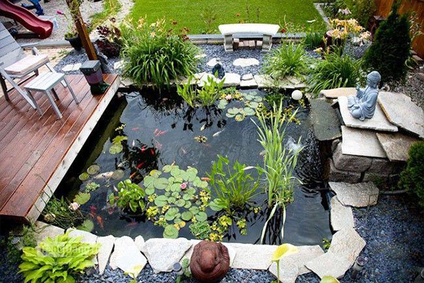 Hồ cá koi Hướng tây bắc