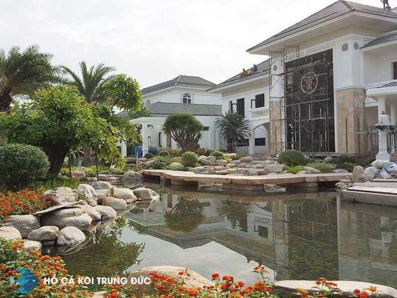 Ảnh chụp thực tế hồ cá koi đã hoàn thiện cho khách hàng