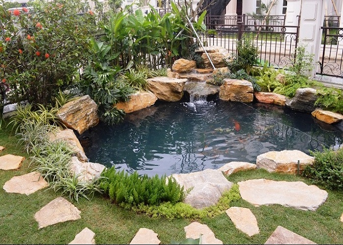 hồ cá koi ngoài trời