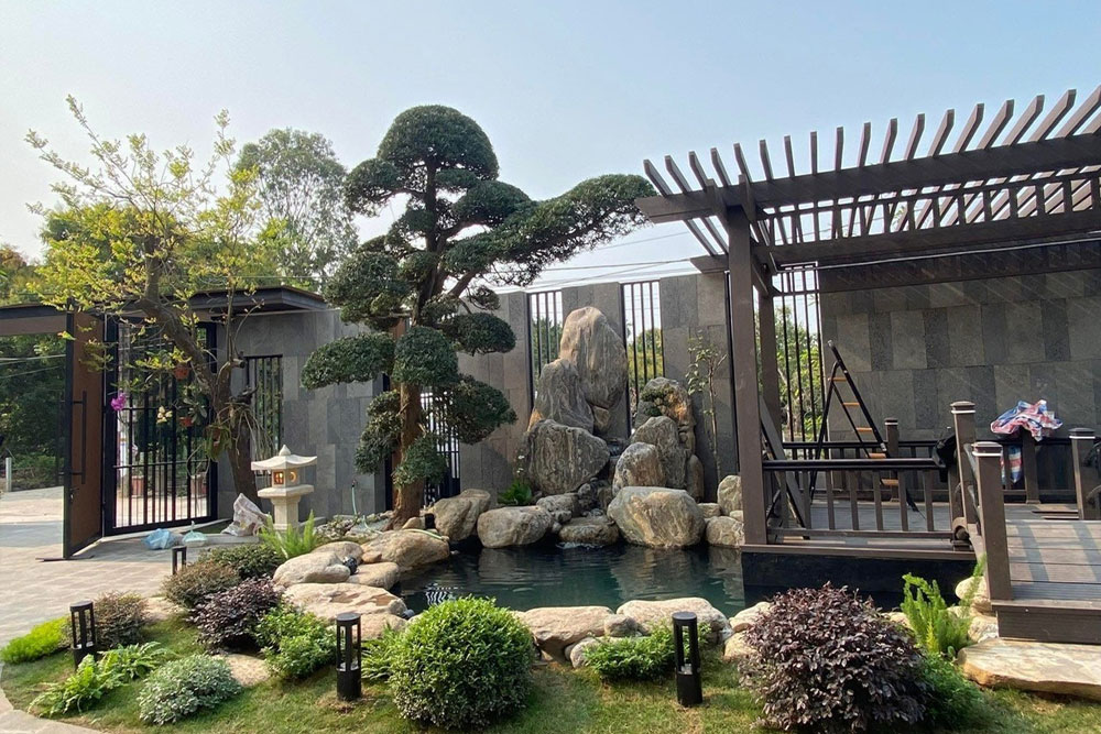 Làm hồ cá koi chuyên nghiệp