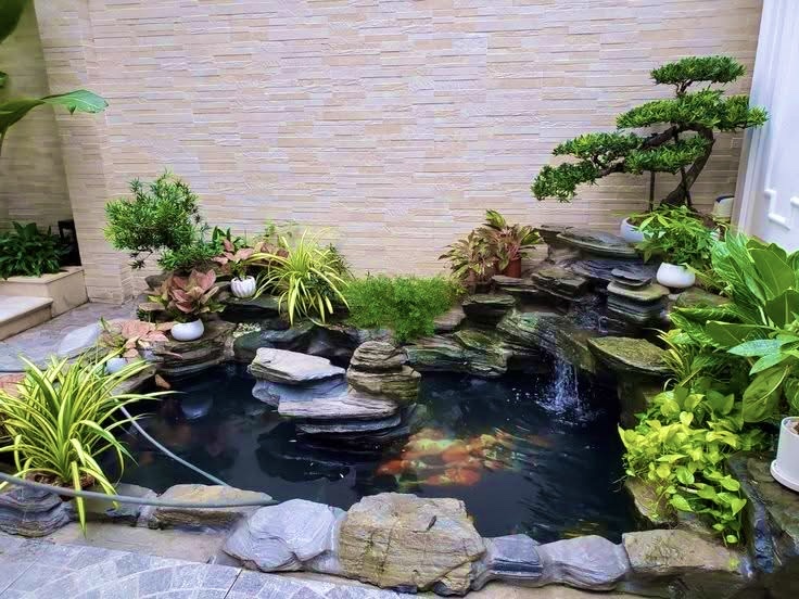 Thi công hồ cá koi sân vườn lớn
