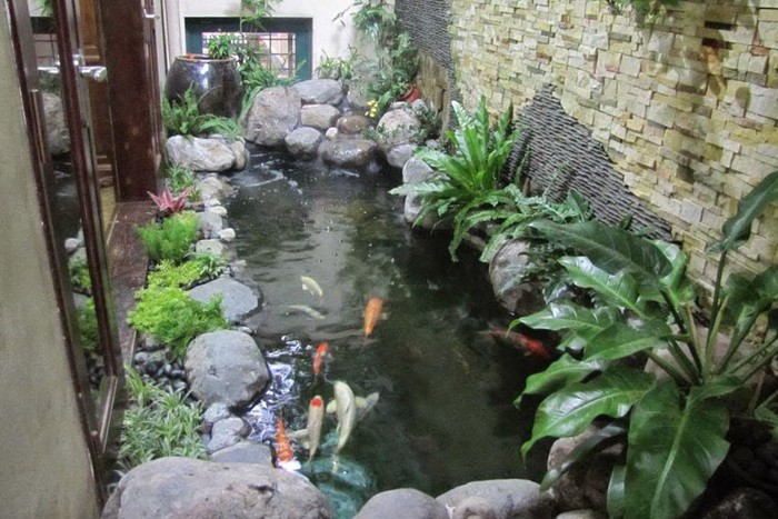 Hồ cá koi hợp theo mệnh gia chủ